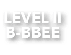 LEVEL II B-BBEE